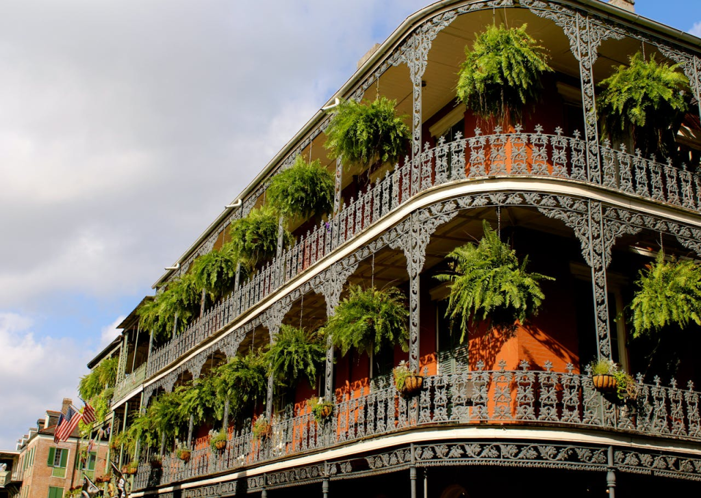 Ferns hang from New Orleans building